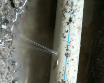 深州卫生间测漏水多少钱